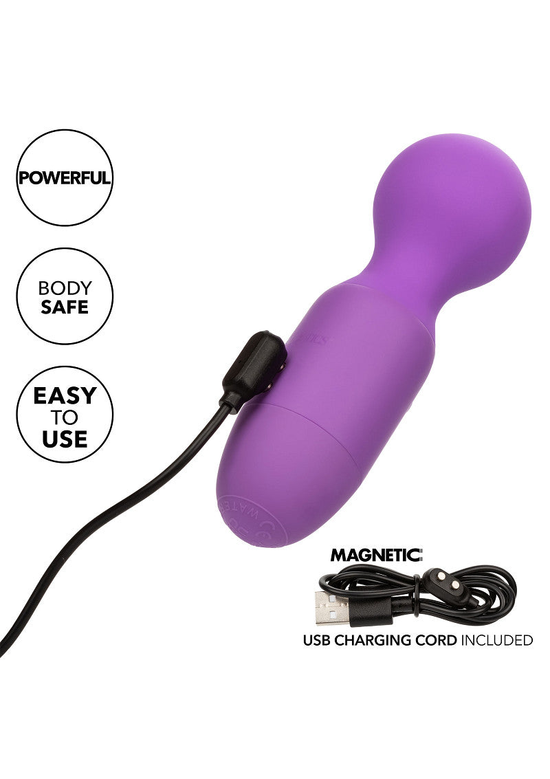 CalExotics First Time Rechargeable Massager