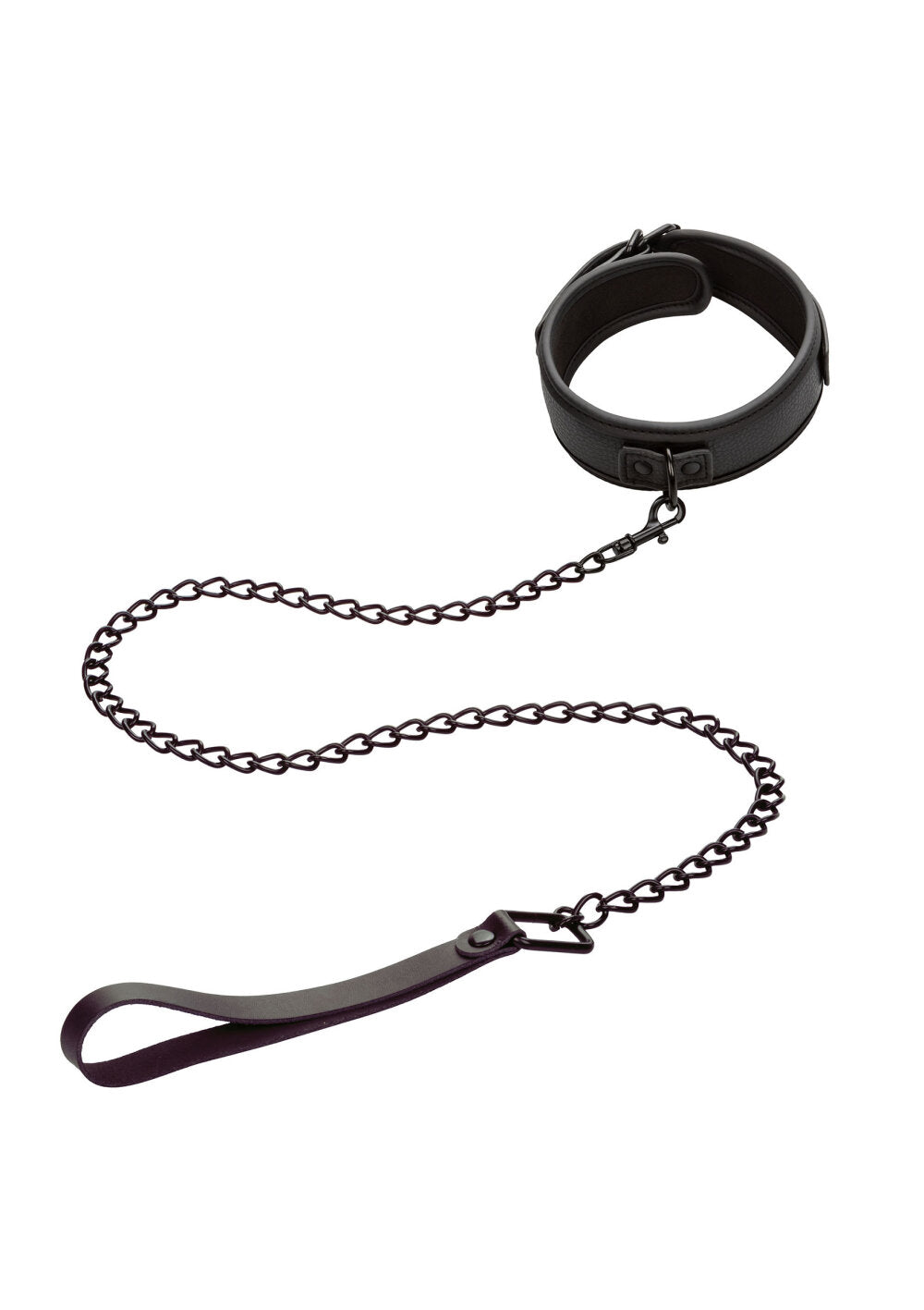 CalExotics Nocturnal Collection  Collar & Leash