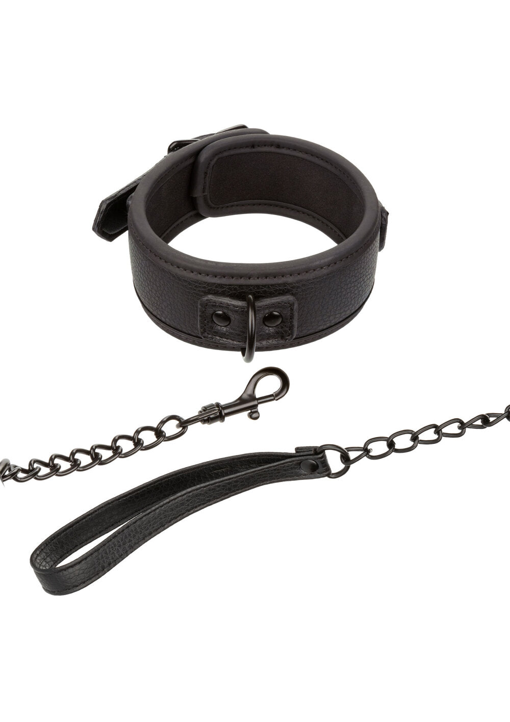 CalExotics Nocturnal Collection  Collar & Leash