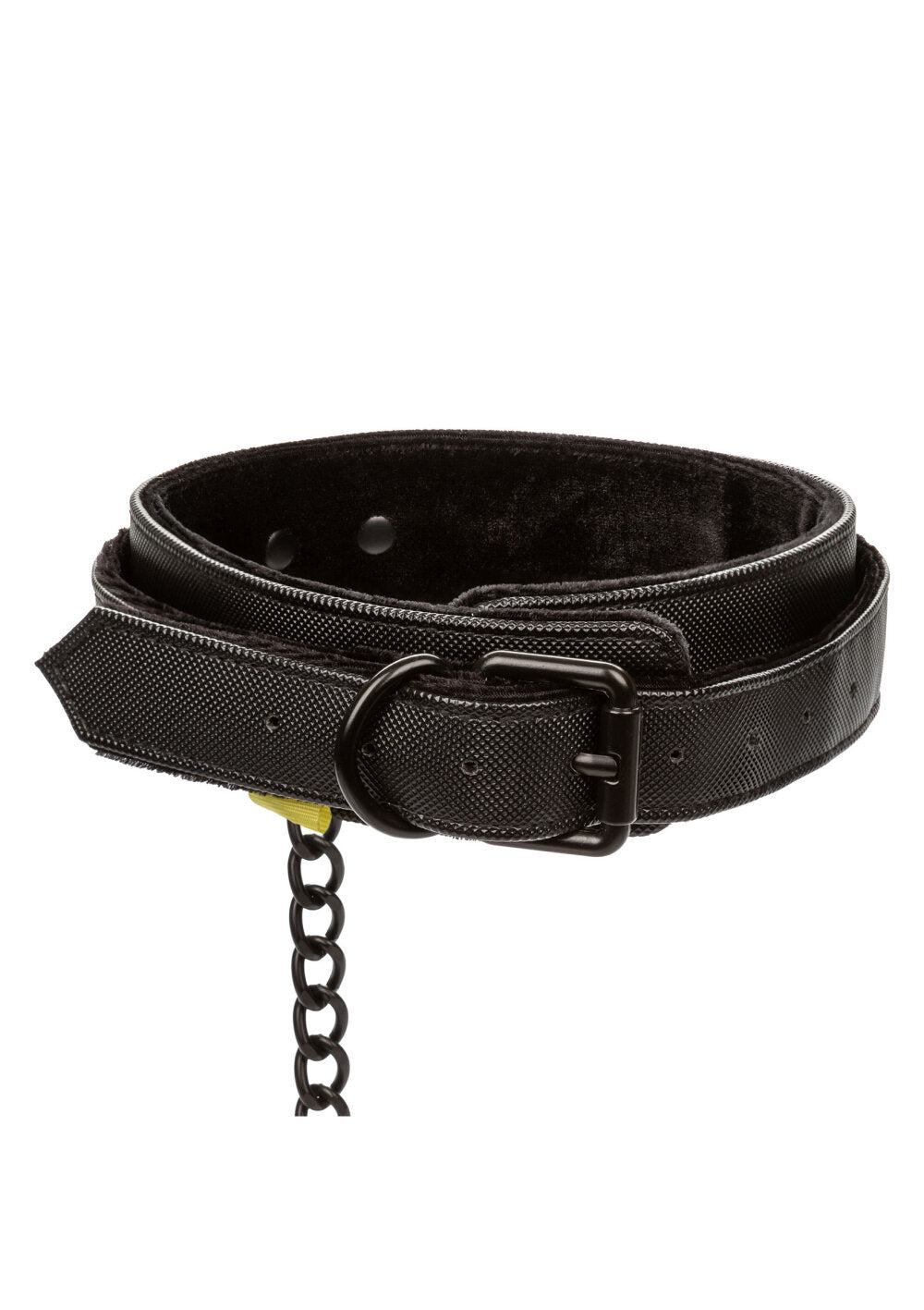 CalExotics Boundless Collar with Leash