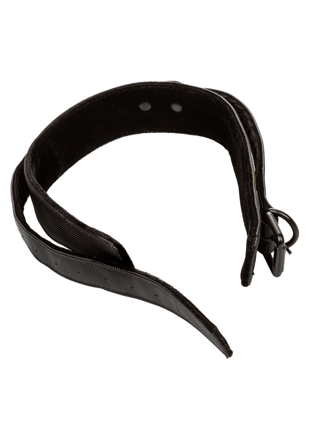 CalExotics Boundless Collar with Leash