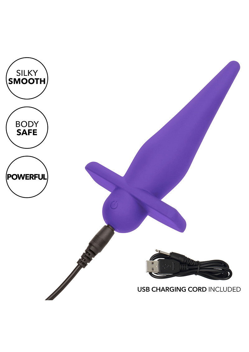 CalExotics Rechargeable High Intensity Probe