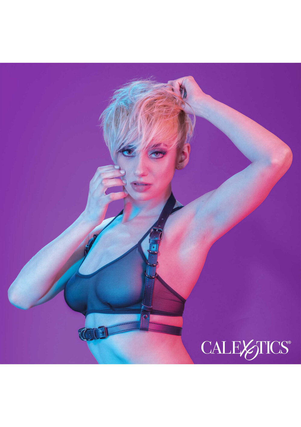 CalExotics Euphoria Collection Halter Buckle Harness