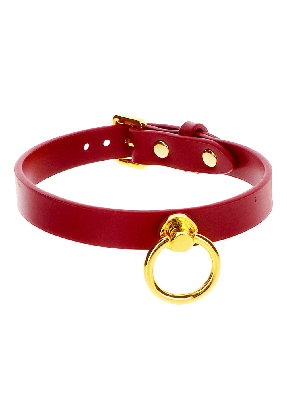 Taboom Bondage in Luxury O-Ring Collar