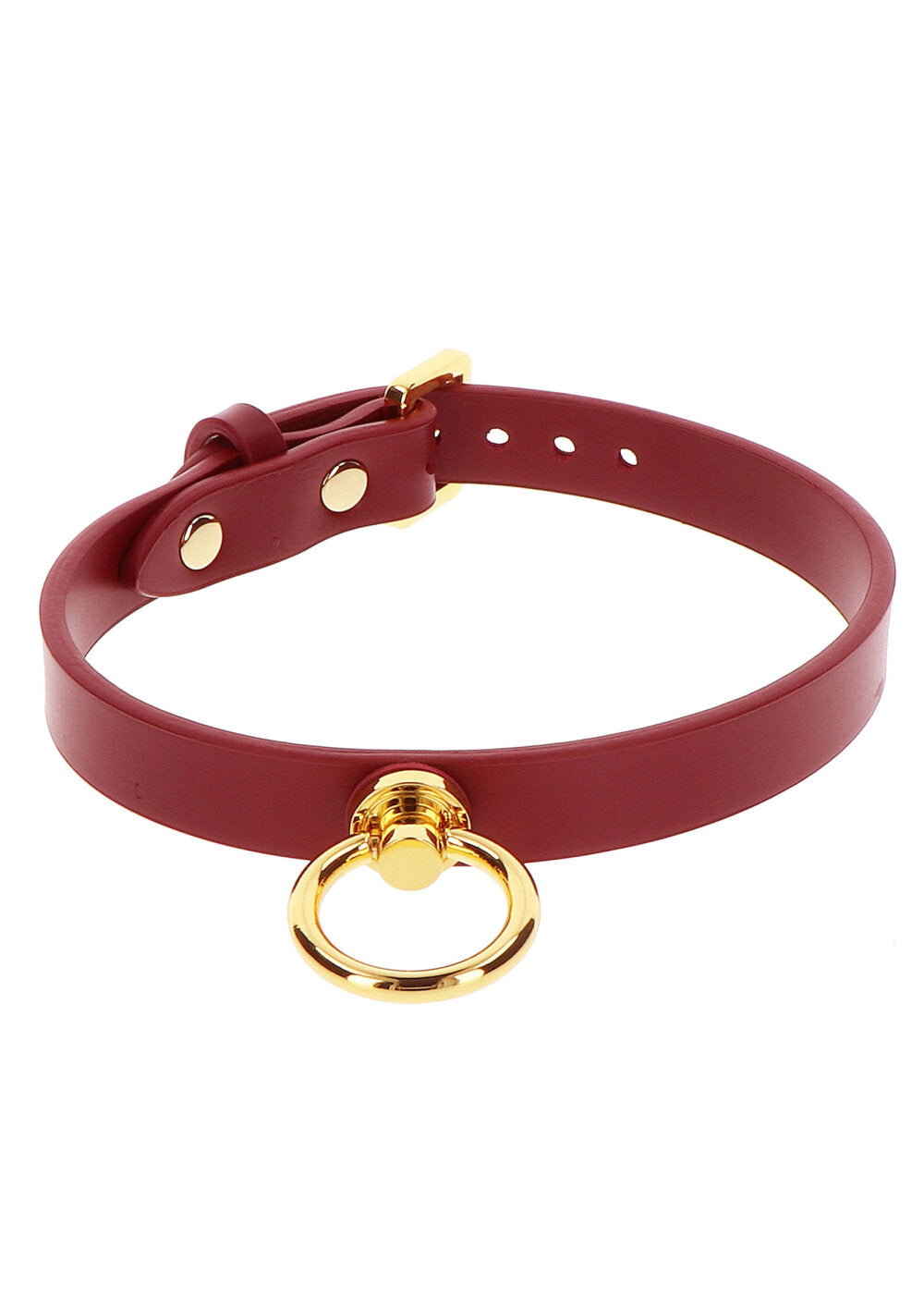 Taboom Bondage in Luxury O-Ring Collar