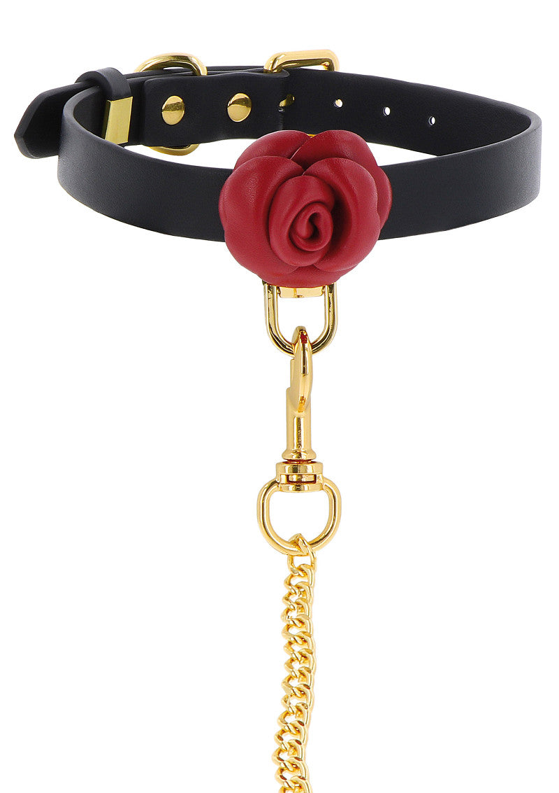 Taboom Wild Roses Collar & Leash