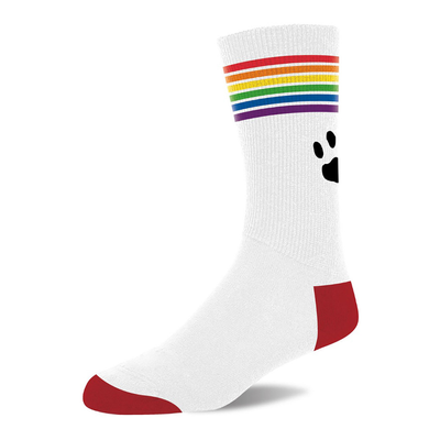 Pride Socken – Weiß/Pride