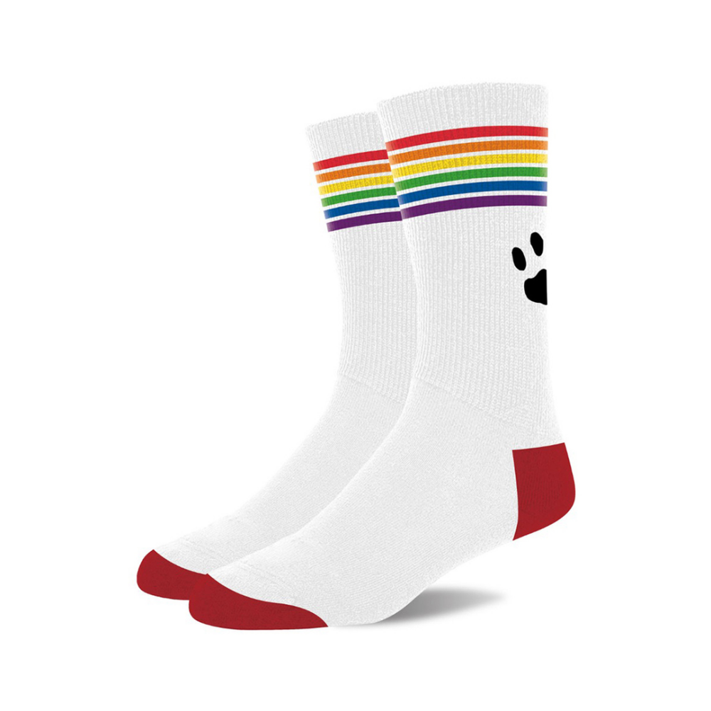 Pride Socken – Weiß/Pride