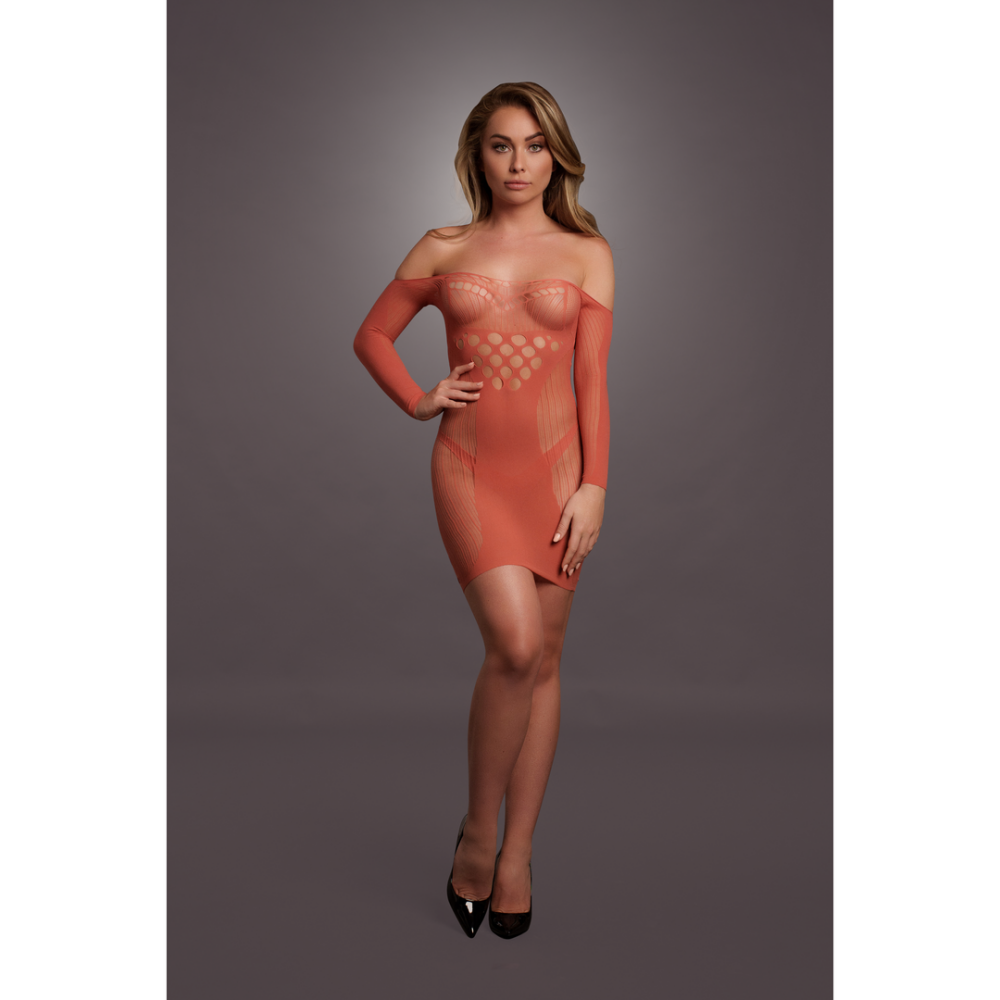 Long-Sleeved Net Mini Dress - One Size