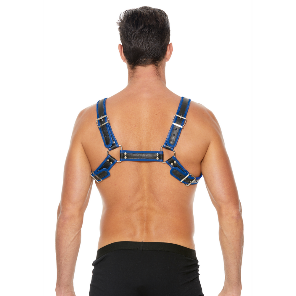 Leather Bulldog Harness with Buckles - L/XL