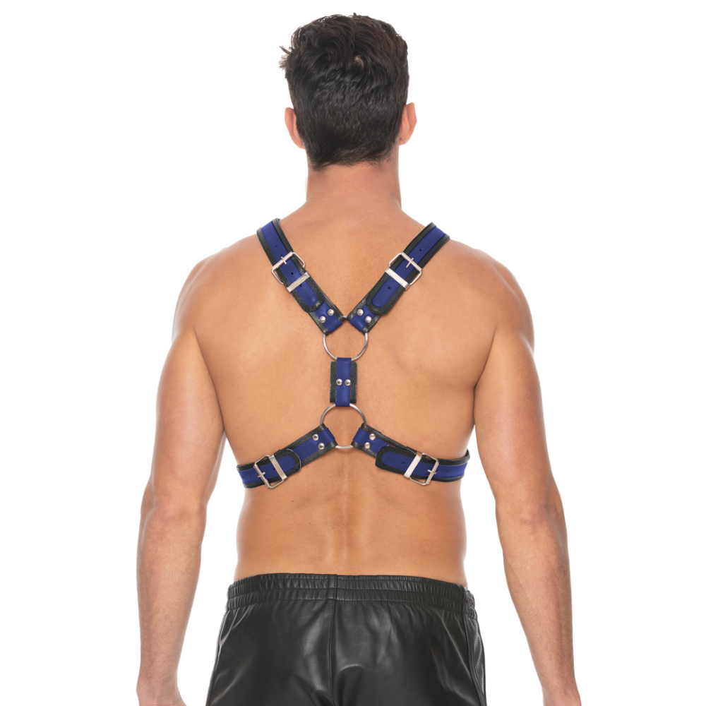 Scottish Leather Harness - S/M