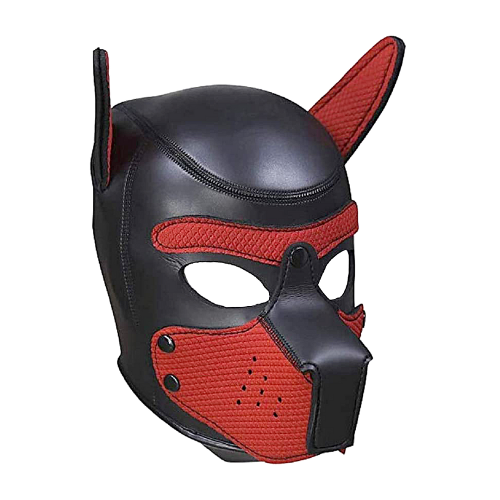 Neoprene Puppy Kit - L/XL